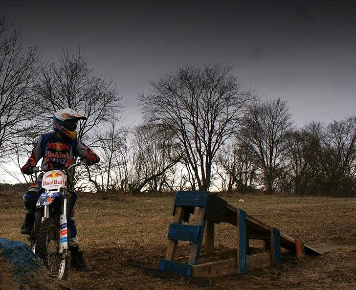 Yamaha YZ85cc høj FMX Red Bull billede 10