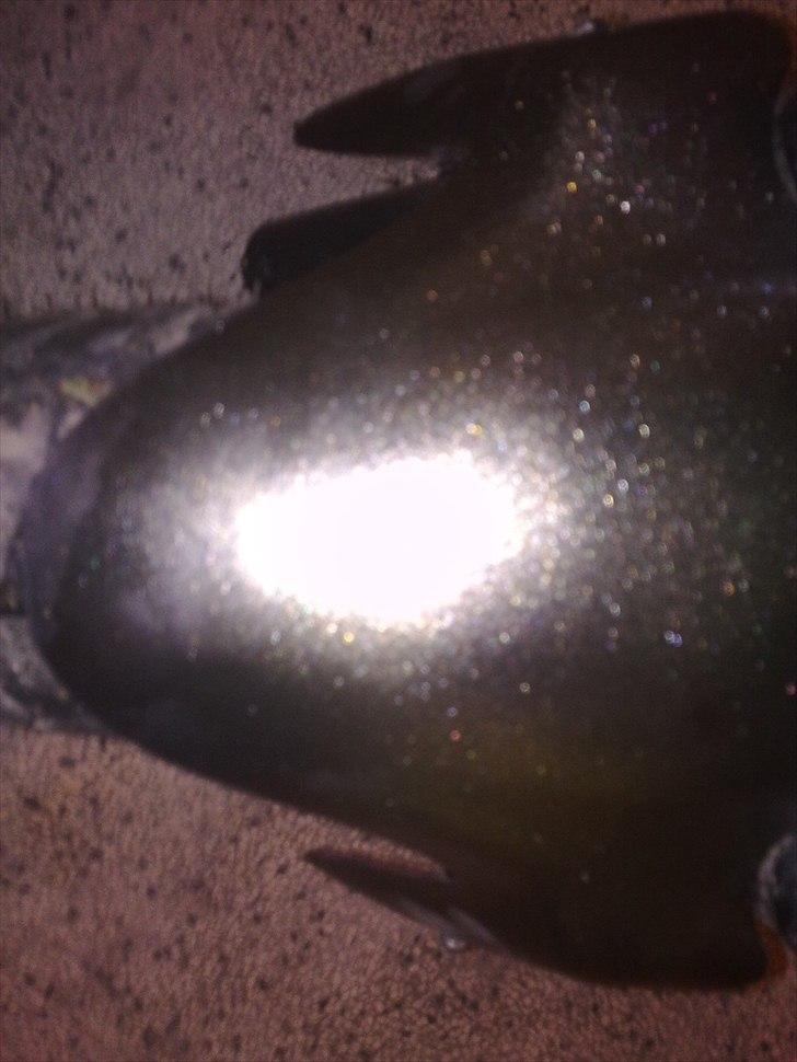 PGO hot 50 billede 5