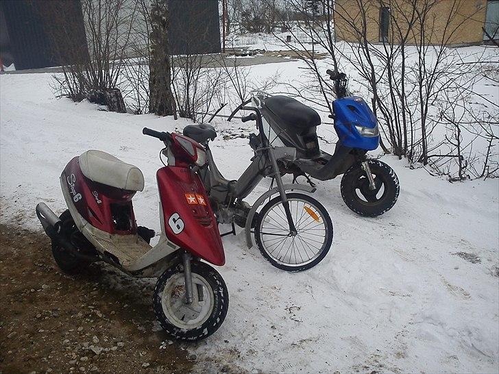 PGO hot 50/popcorn billede 3