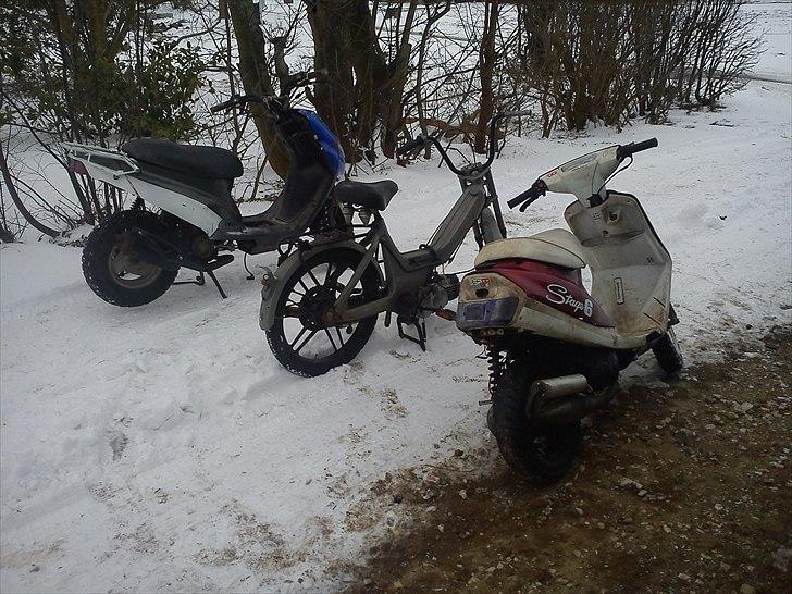 PGO hot 50/popcorn billede 4