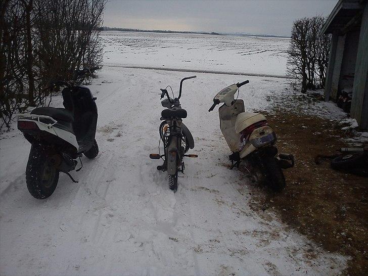 PGO hot 50/popcorn billede 5