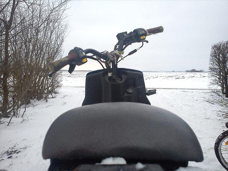 PGO hot 50/popcorn billede 8