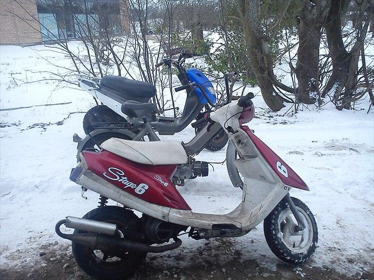 PGO hot 50/popcorn billede 11