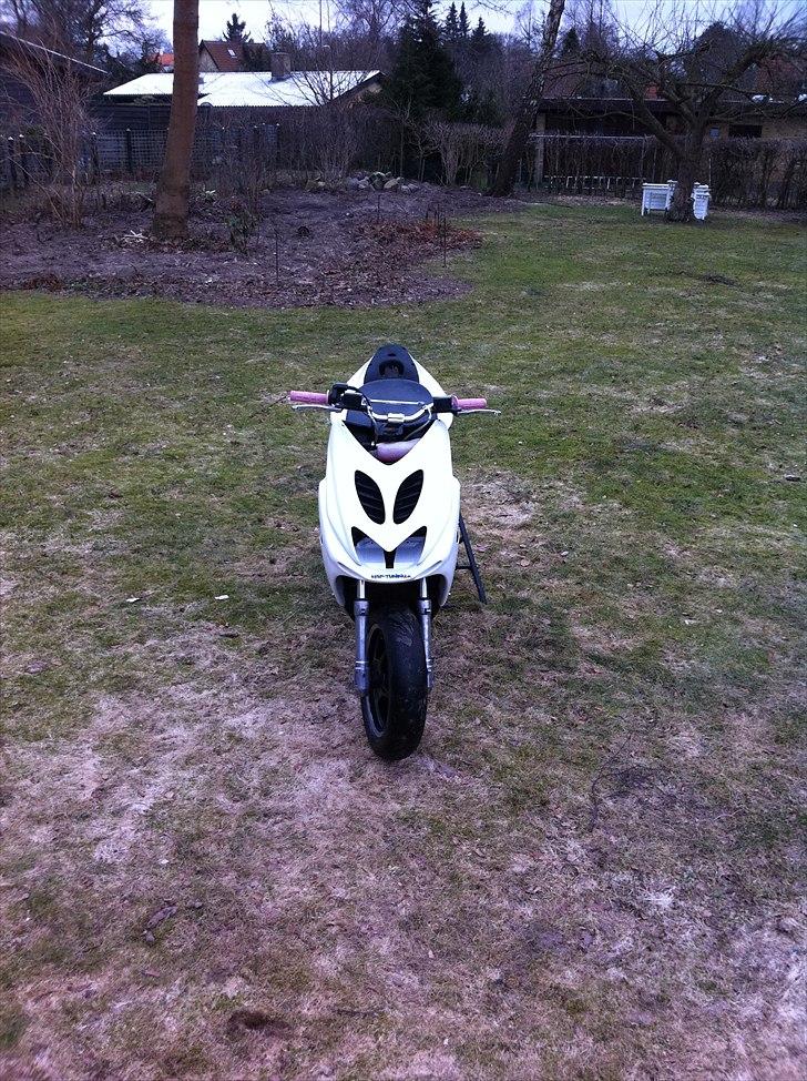 Yamaha Aerox *Pata-Negra* Solgt billede 15