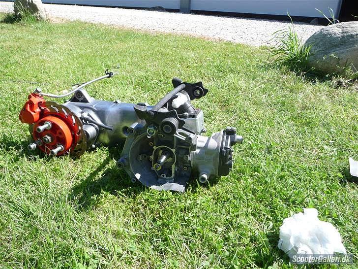 Yamaha Aerox *Pata-Negra* Solgt billede 17