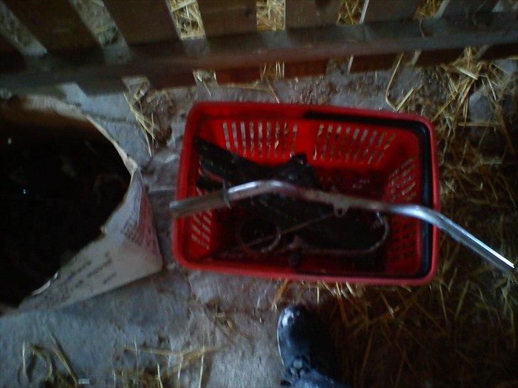 Tomos Flexer projekt billede 5