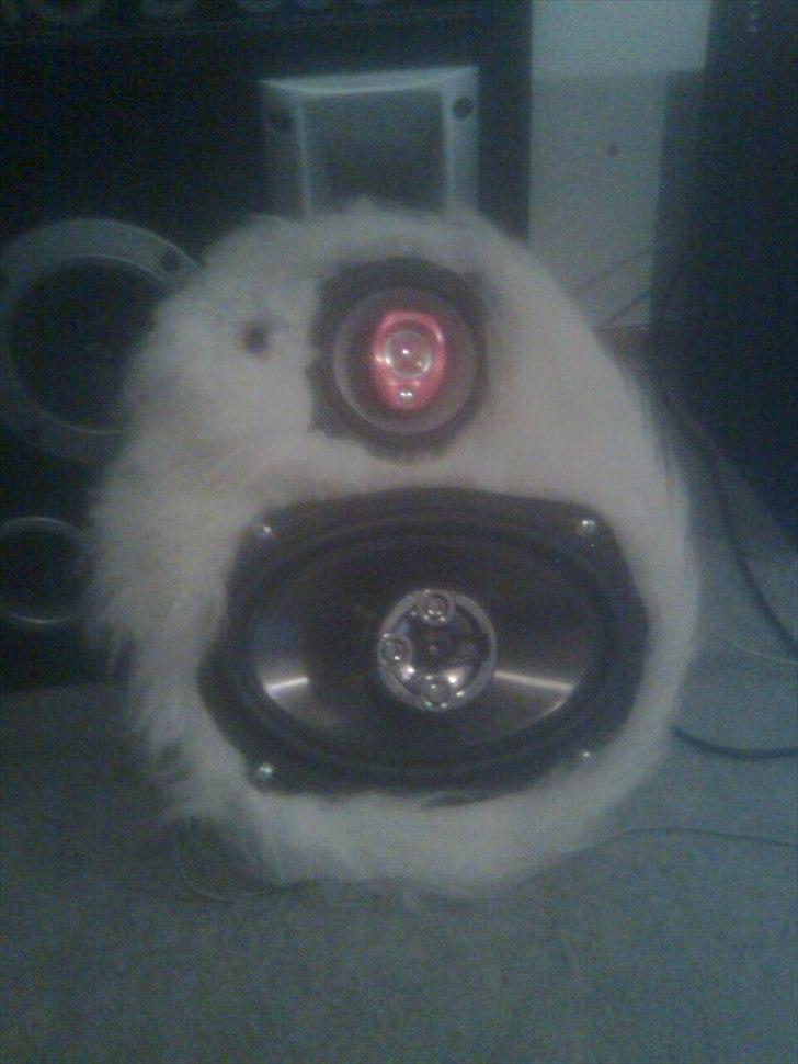 PGO Hot 50 (solgt) - den er tilsalg:D billede 7