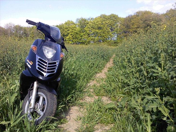 Aprilia sonic BYTTET  billede 4