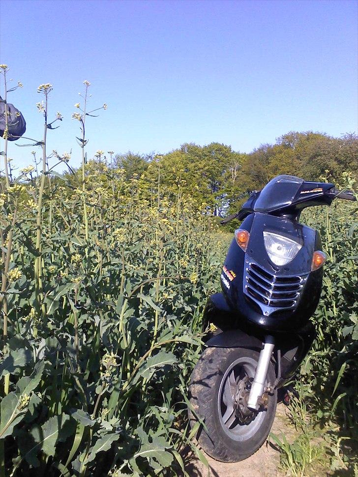 Aprilia sonic BYTTET  billede 5