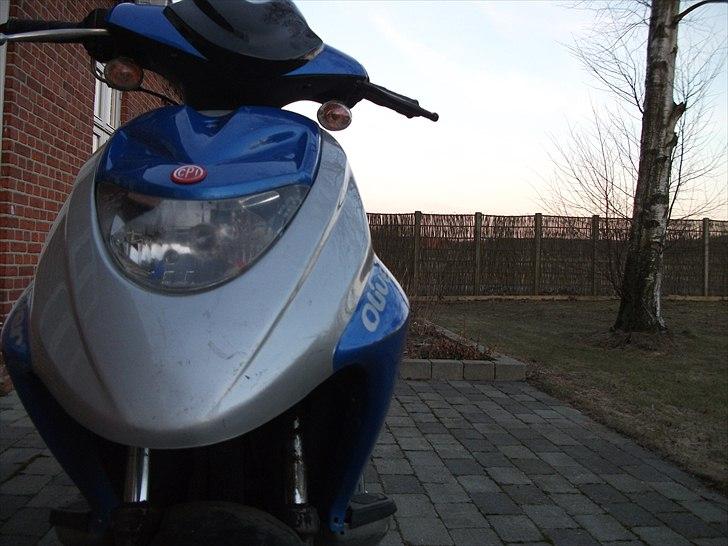 CPI Oliver sport/city billede 1