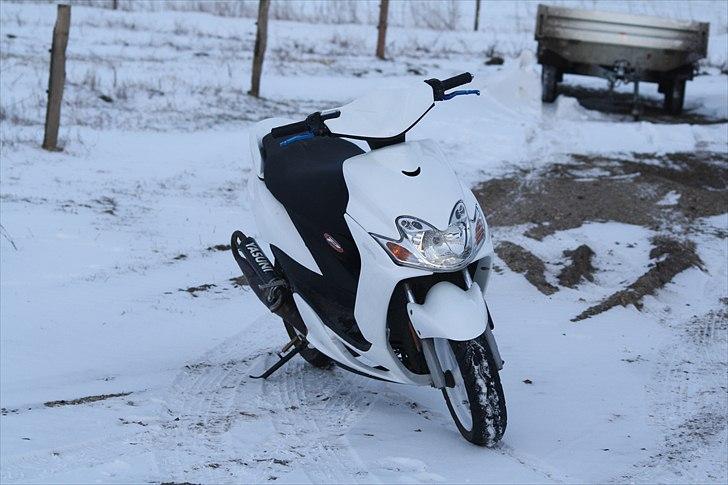 Yamaha Jog R White Bitch SD billede 5