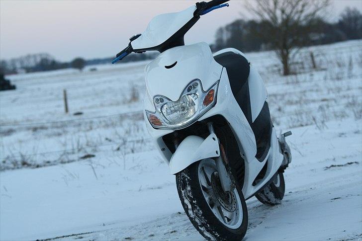 Yamaha Jog R White Bitch SD billede 6