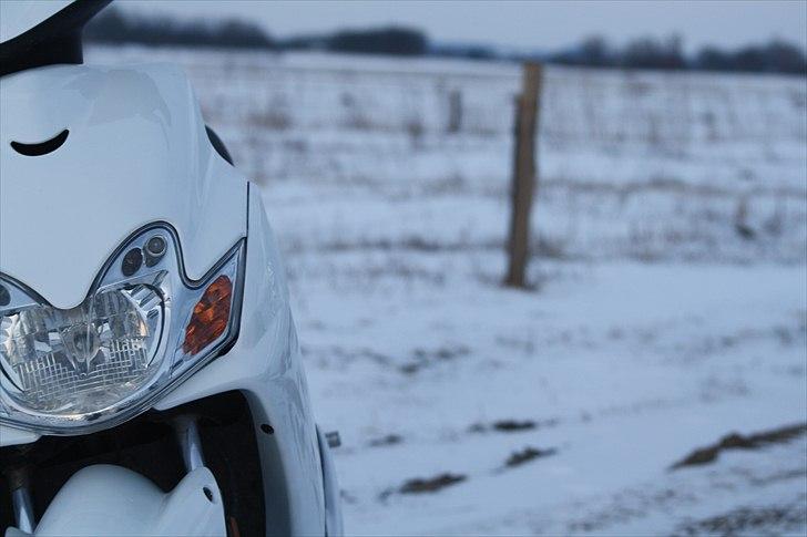 Yamaha Jog R White Bitch SD billede 9