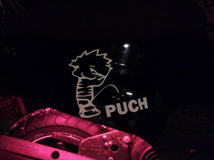 PGO hot 50 billede 11