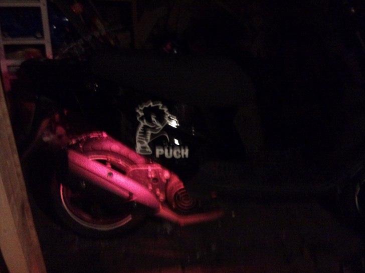 PGO hot 50 billede 12