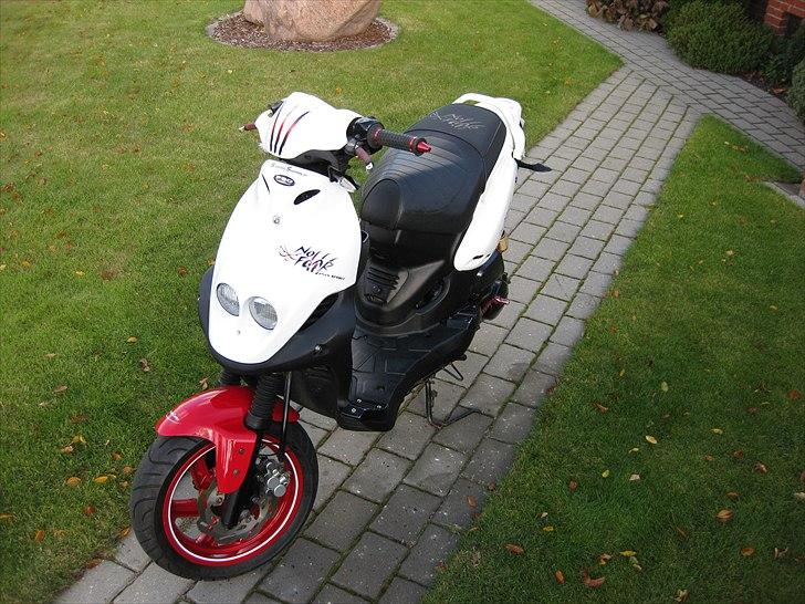 PGO PMX SPORT No Fear (SOLGT) billede 11