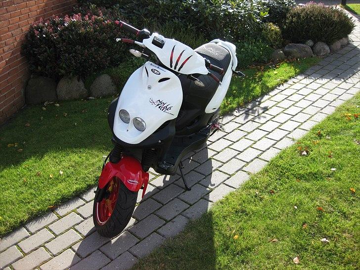 PGO PMX SPORT No Fear (SOLGT) billede 14