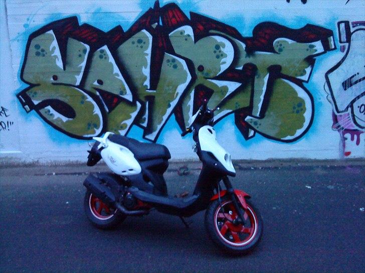 PGO PMX SPORT No Fear (SOLGT) billede 16