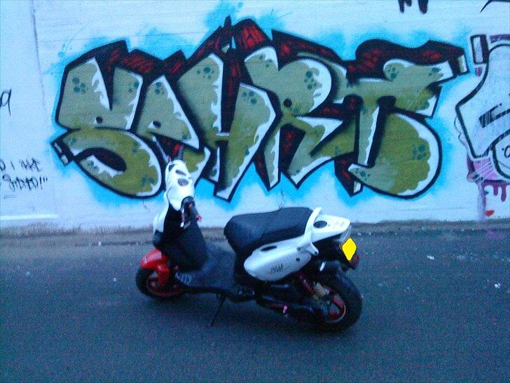 PGO PMX SPORT No Fear (SOLGT) billede 17