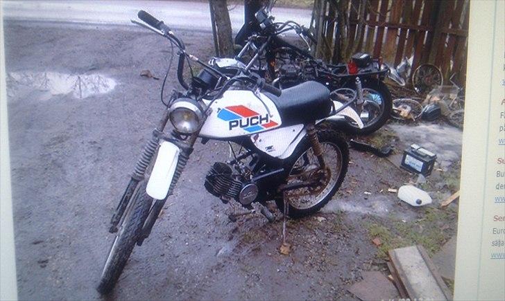 Puch pioneer billede 2