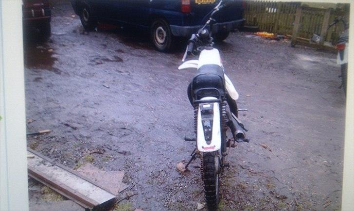 Puch pioneer billede 3