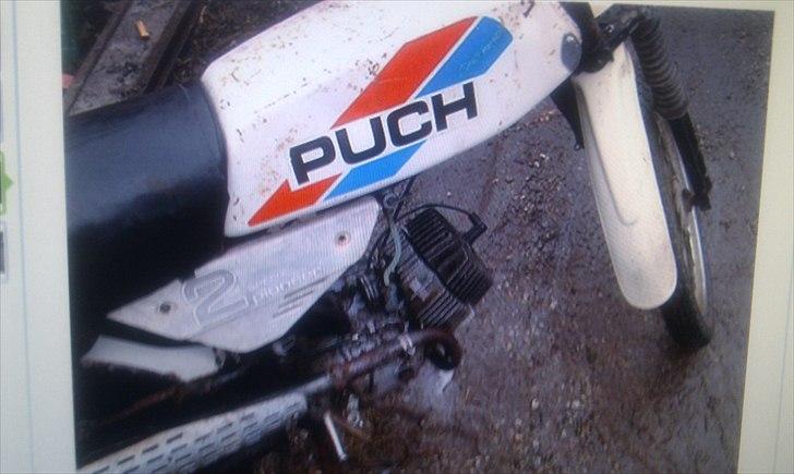 Puch pioneer billede 4