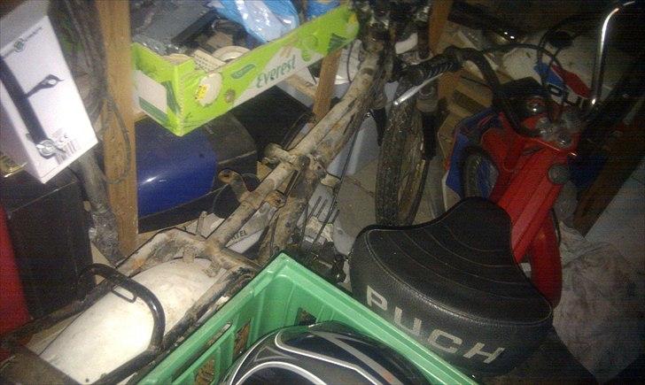 Puch pioneer billede 5