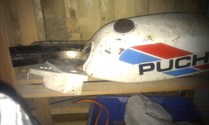 Puch pioneer billede 6