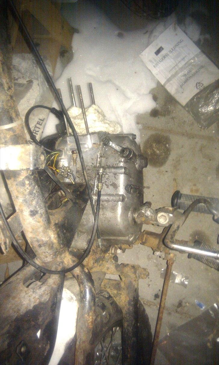 Puch pioneer billede 7