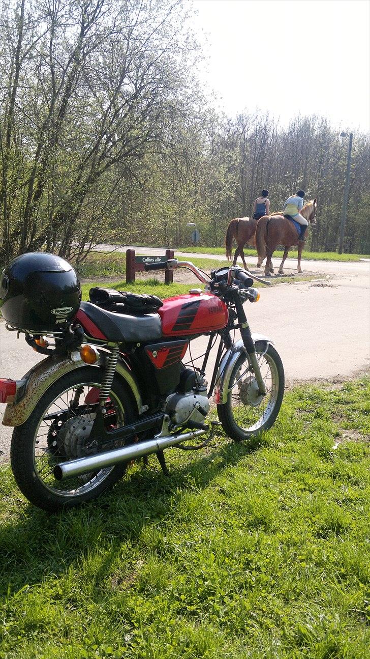 Yamaha FS1-S / Type 3F1 billede 8