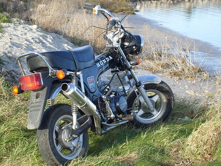 Honda Dax  billede 1