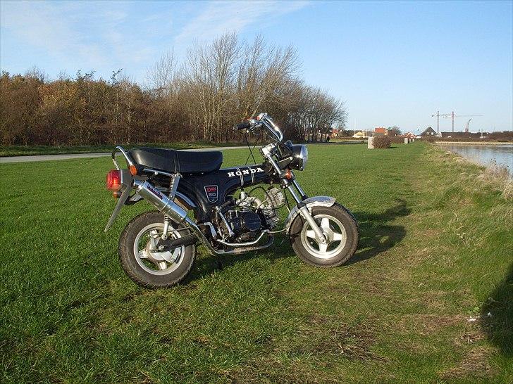Honda Dax  billede 3
