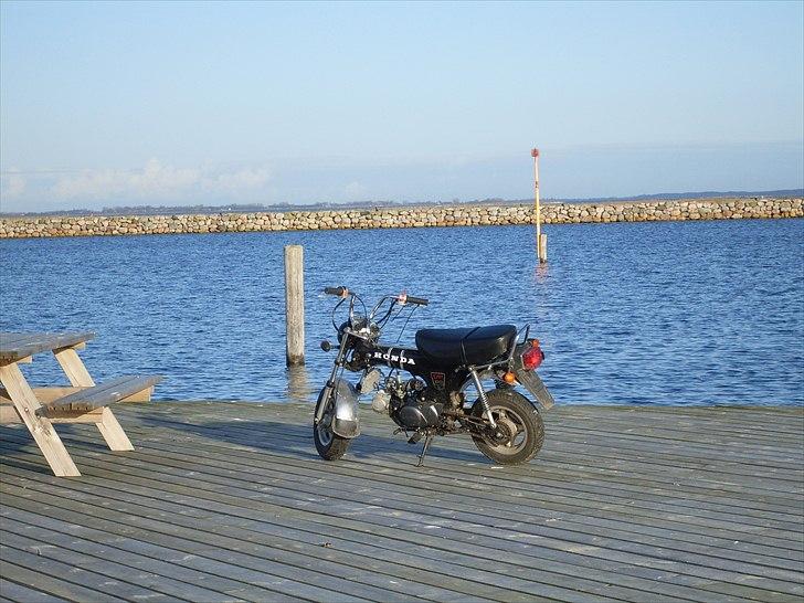 Honda Dax  billede 4