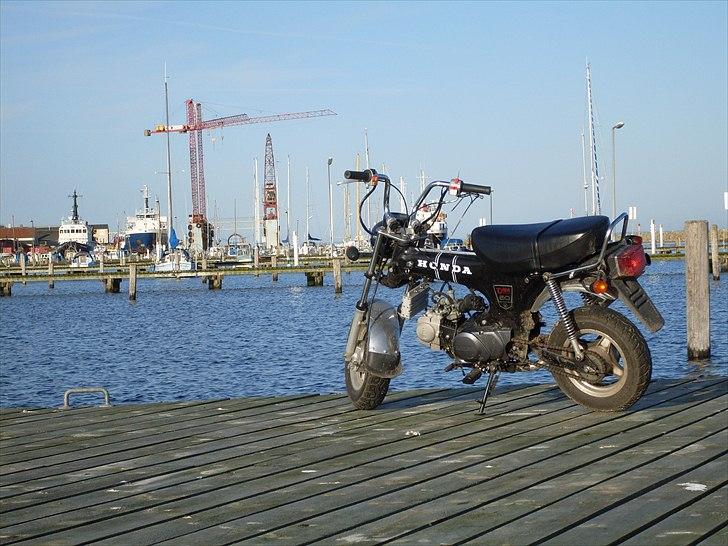 Honda Dax  billede 5