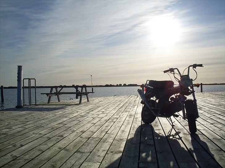 Honda Dax  billede 6