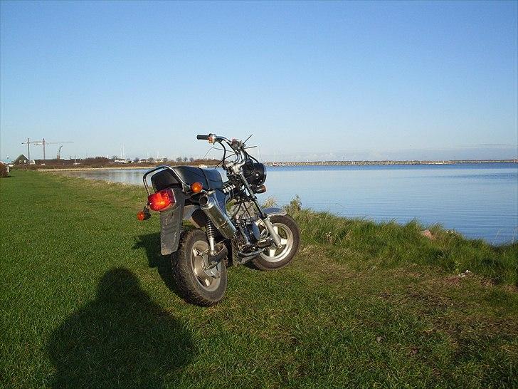 Honda Dax  billede 8