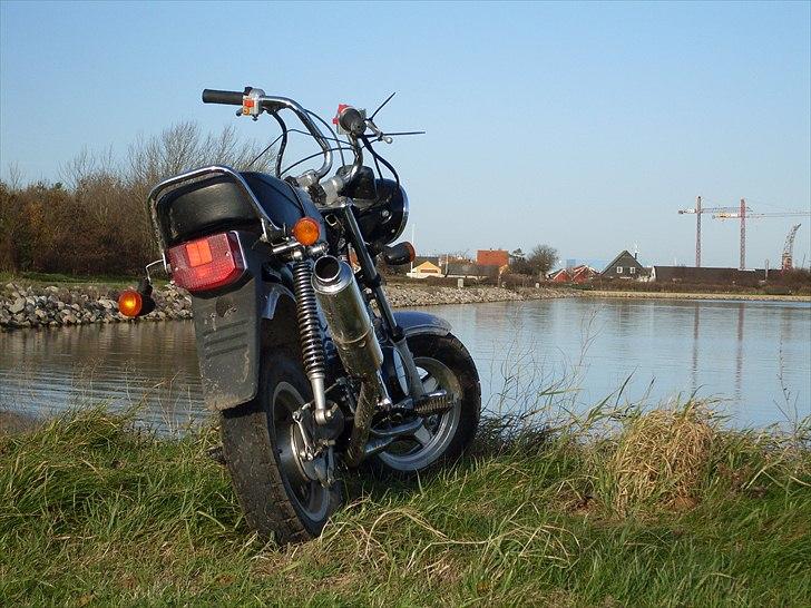 Honda Dax  billede 9