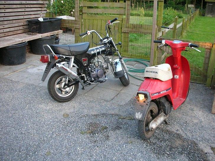 Honda Dax  billede 10