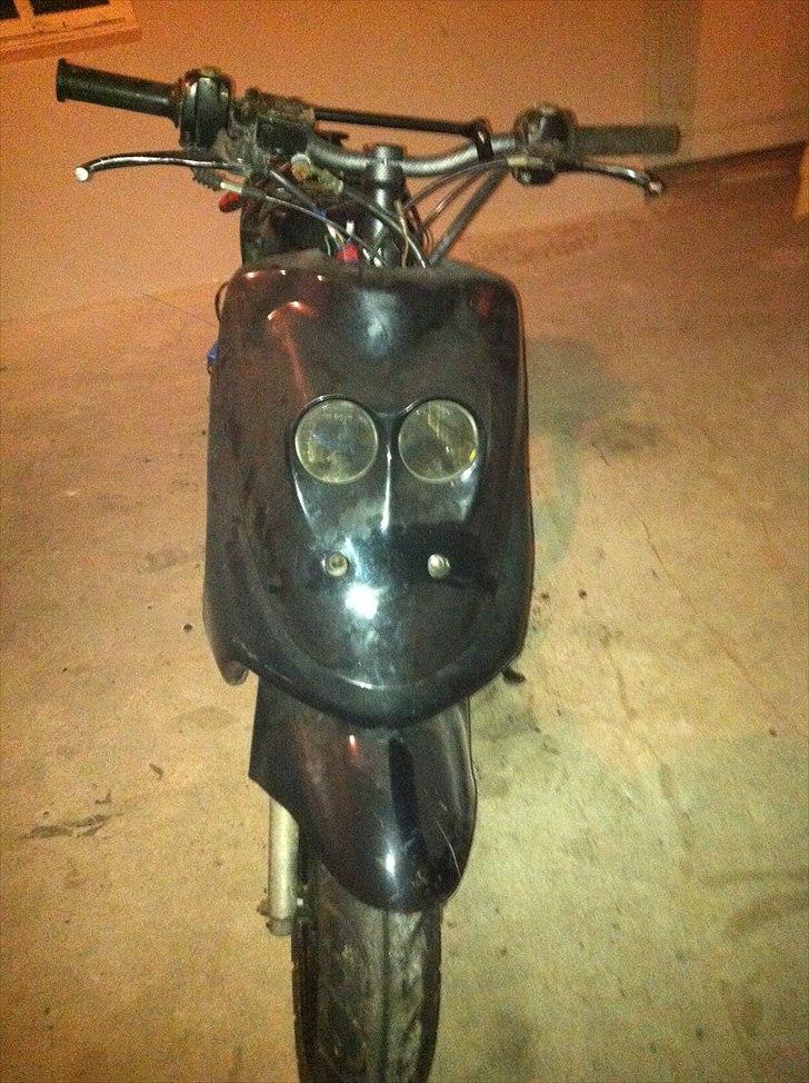 Adly cat - såden ser den ud li nu  billede 2