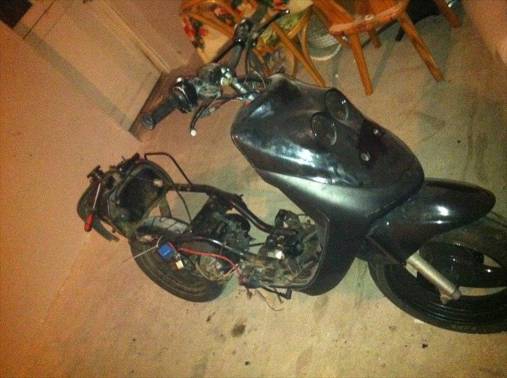 Adly cat - såden ser den ud li nu  billede 3