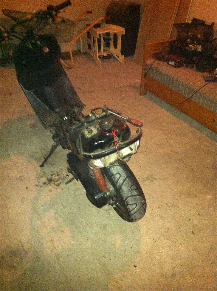 Adly cat - såden ser den ud li nu  billede 4