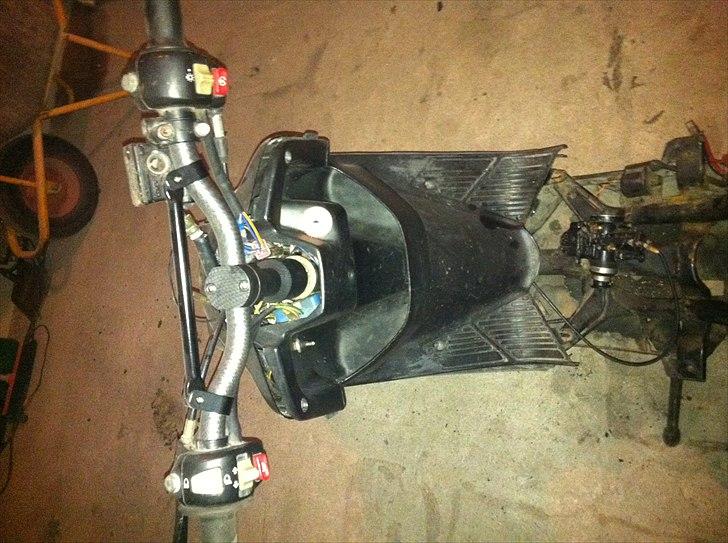 Adly cat - såden ser den ud li nu  billede 5