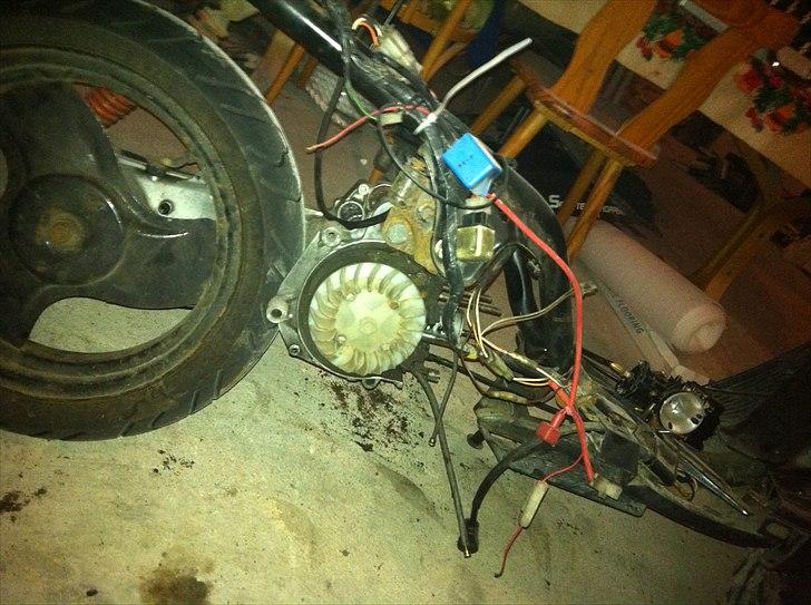 Adly cat - såden ser den ud li nu  billede 6