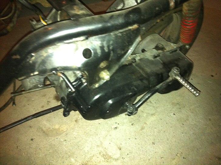 Adly cat - såden ser den ud li nu  billede 8