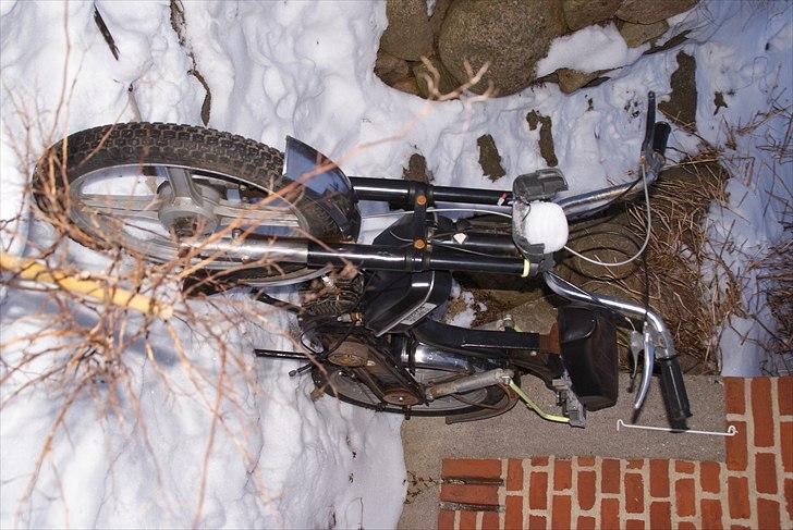 Piaggio Bravo  billede 5