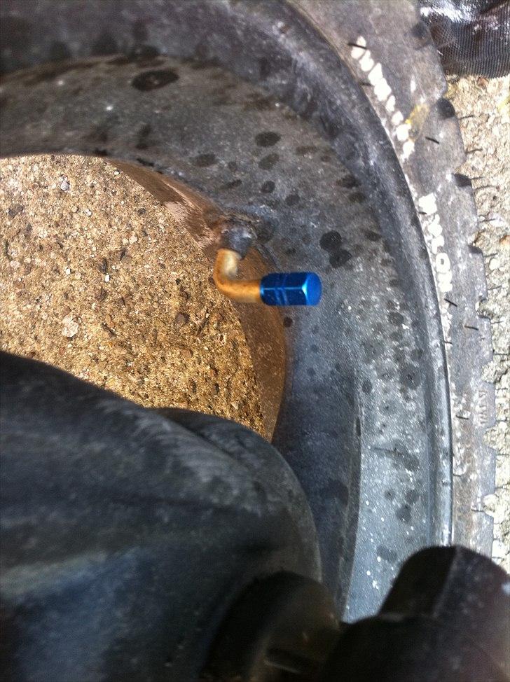 PGO Hot 50 AC 12" Alu billede 18