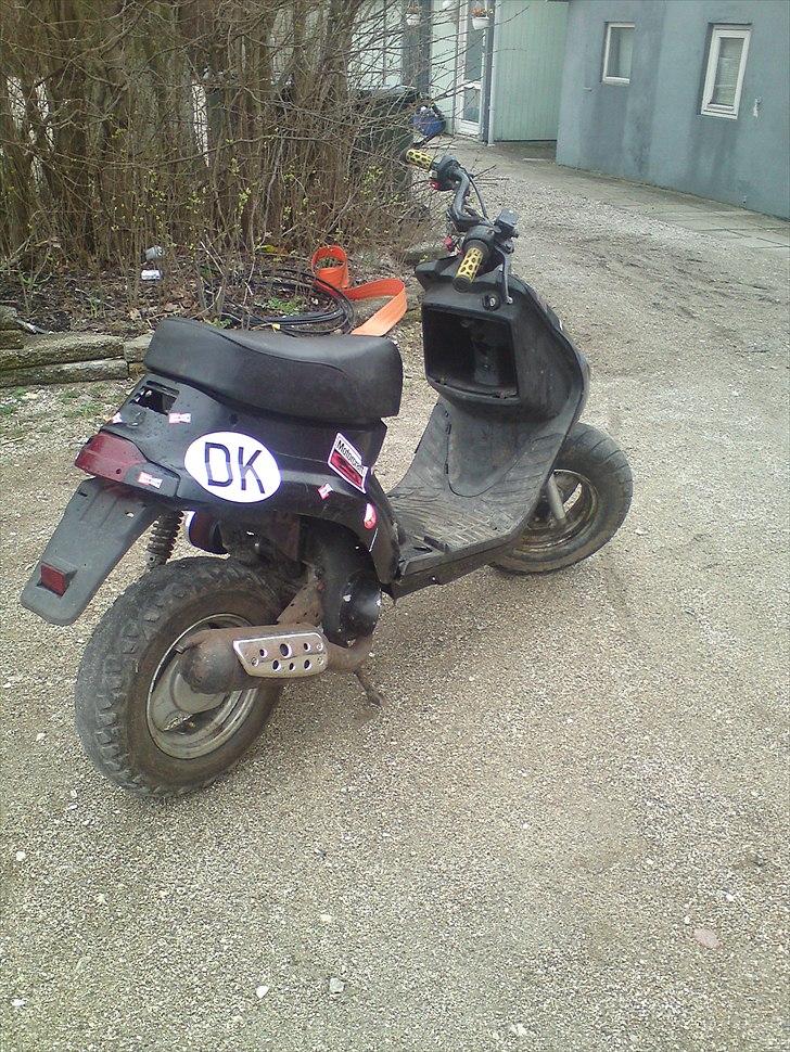 Adly pista  billede 3