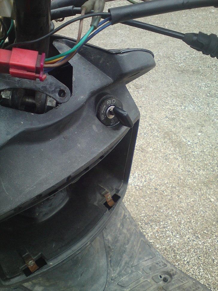 Adly pista  billede 9