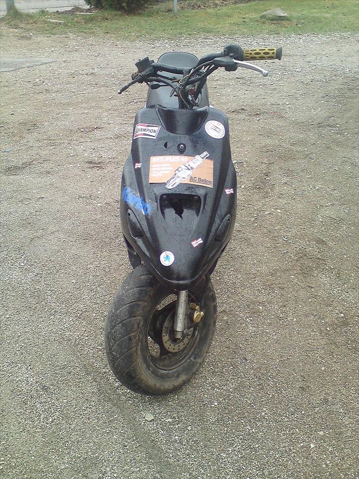 Adly pista  billede 10