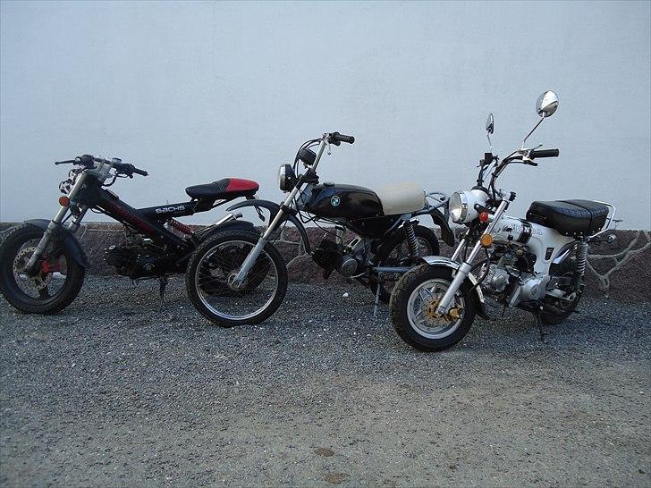 Puch Pioneer billede 7